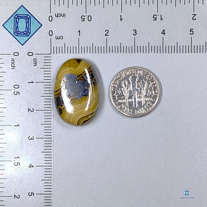 Schalenblende Oval Cabochons