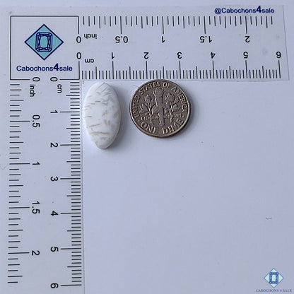 Scolecite