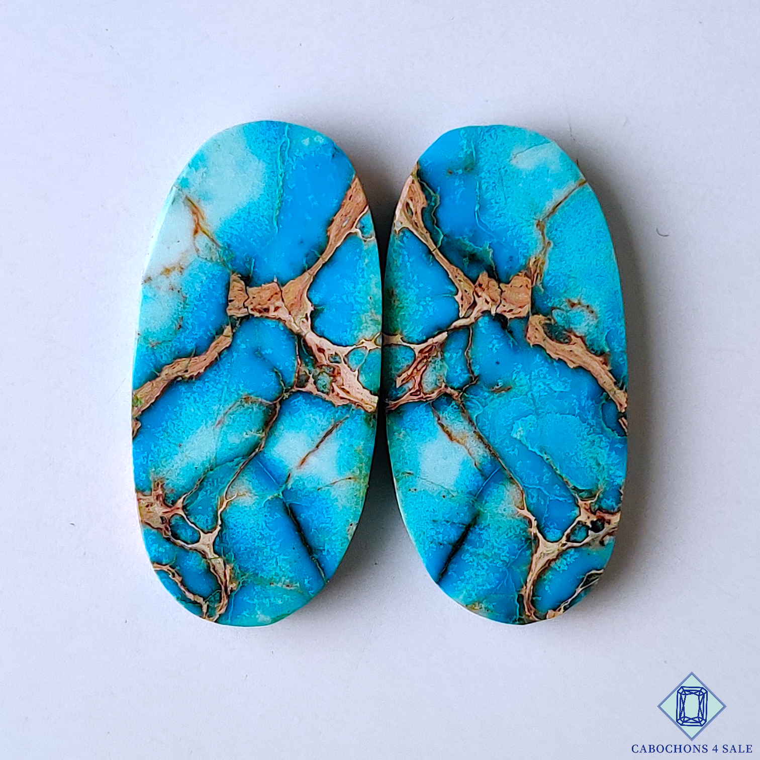 Sea Sediment Jasper