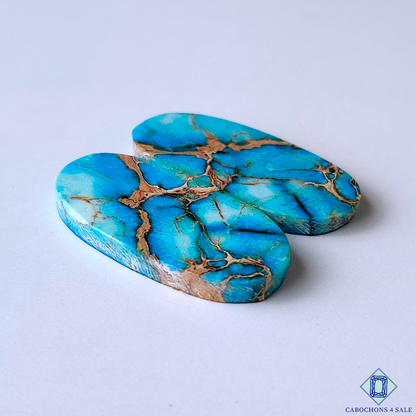 Sea Sediment Jasper