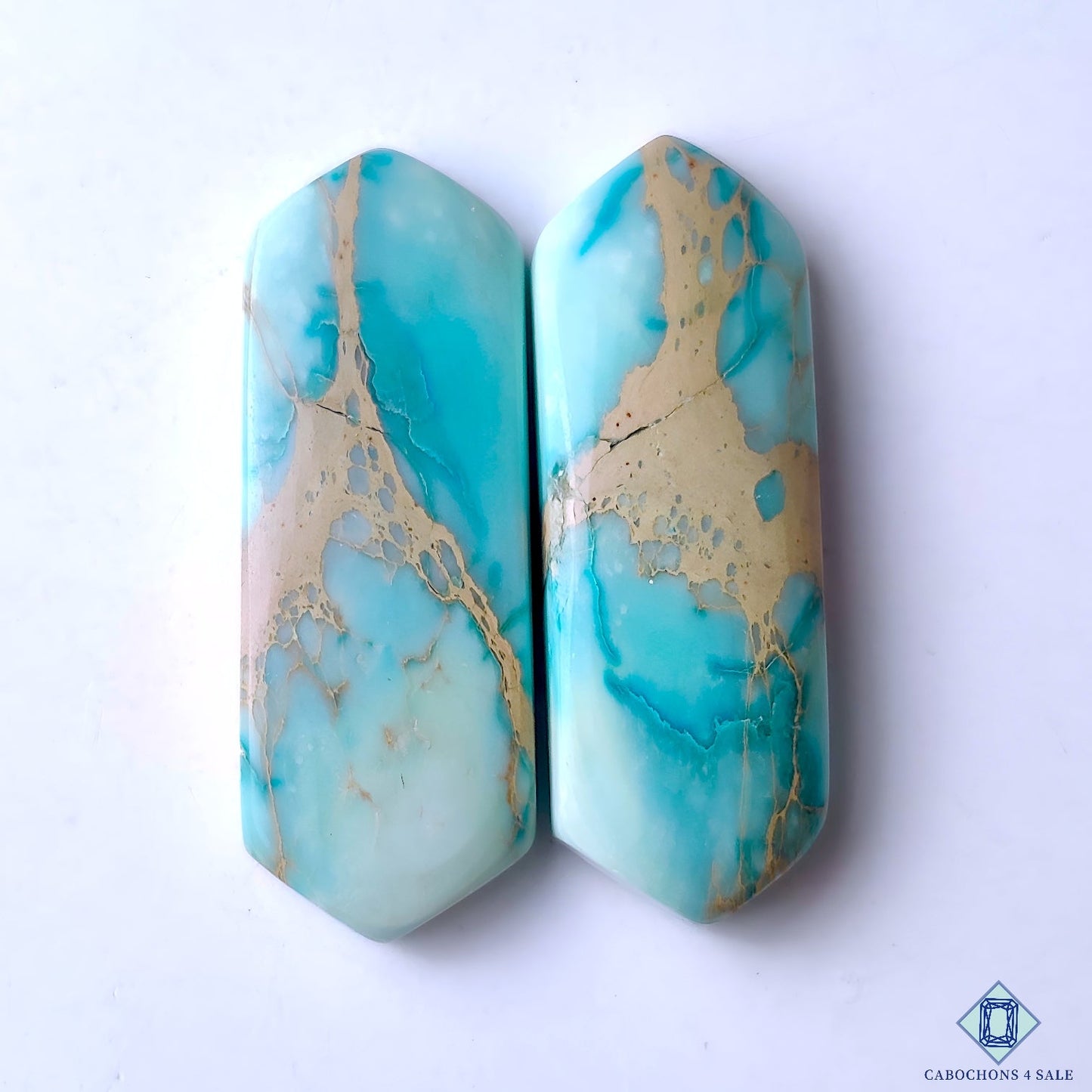Sea Sediment Jasper