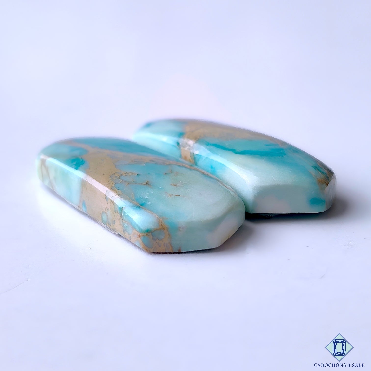 Sea Sediment Jasper