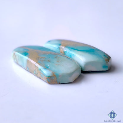 Sea Sediment Jasper