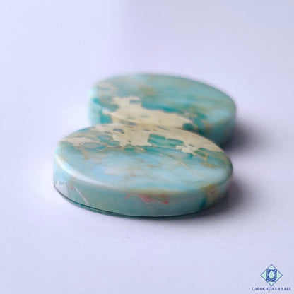 Sea Sediment Jasper