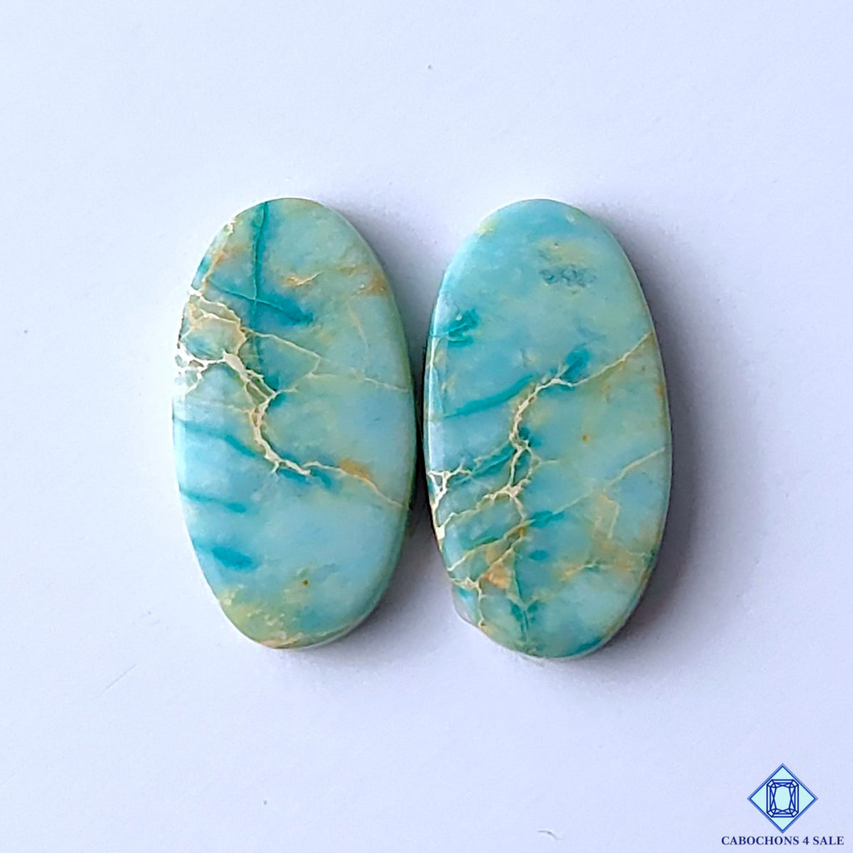 Sea Sediment Jasper