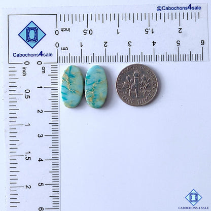Sea Sediment Jasper