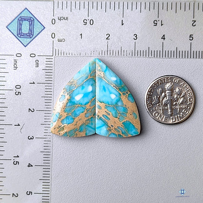 Sea Sediment Jasper Fancy Pairs