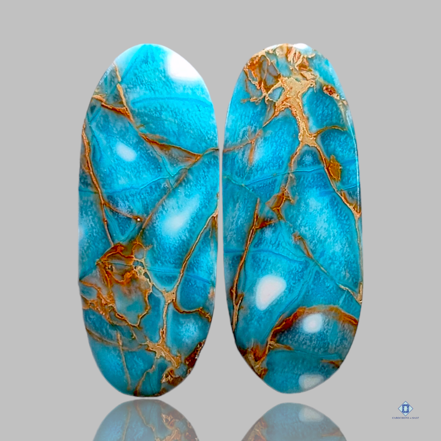 Sea sediment jasper-c4sw1535-oval-Blue-Pairs