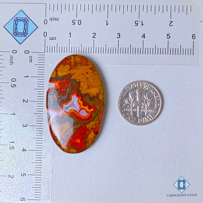 Cabujones ovalados de ágata de costura natural de 40 x 24 x 5 mm, de Brasil, disponibles para la venta.