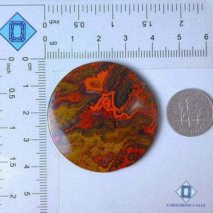 Natural Seam Agate Gemstone  Round Cabochons 41*4mm from Morocco available for sale