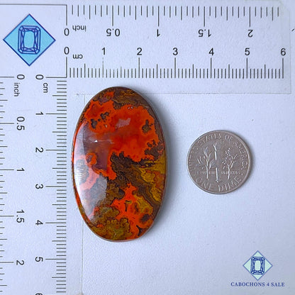 Natural Seam Agate Gemstone  Oval Cabochons 43*26*6mm from Morocco available for sale