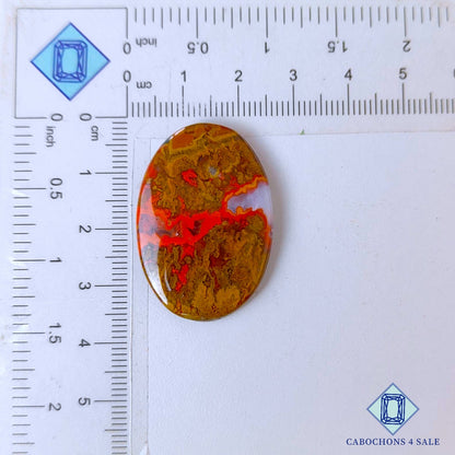 Natural Seam Agate Gemstone  Oval Cabochons 35*24*4mm from Morocco available for sale