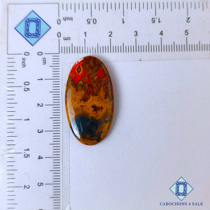Natural Seam Agate Gemstone  Oval Cabochons 34*18*4mm from Morocco available for sale