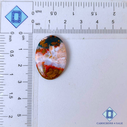 Natural Seam Agate Gemstone  Oval Cabochons 27*19*4mm from Morocco available for sale