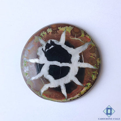 Septarian