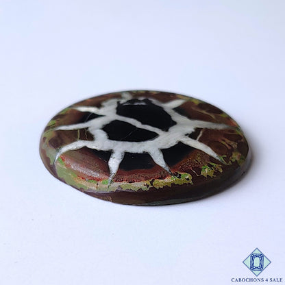 Septarian