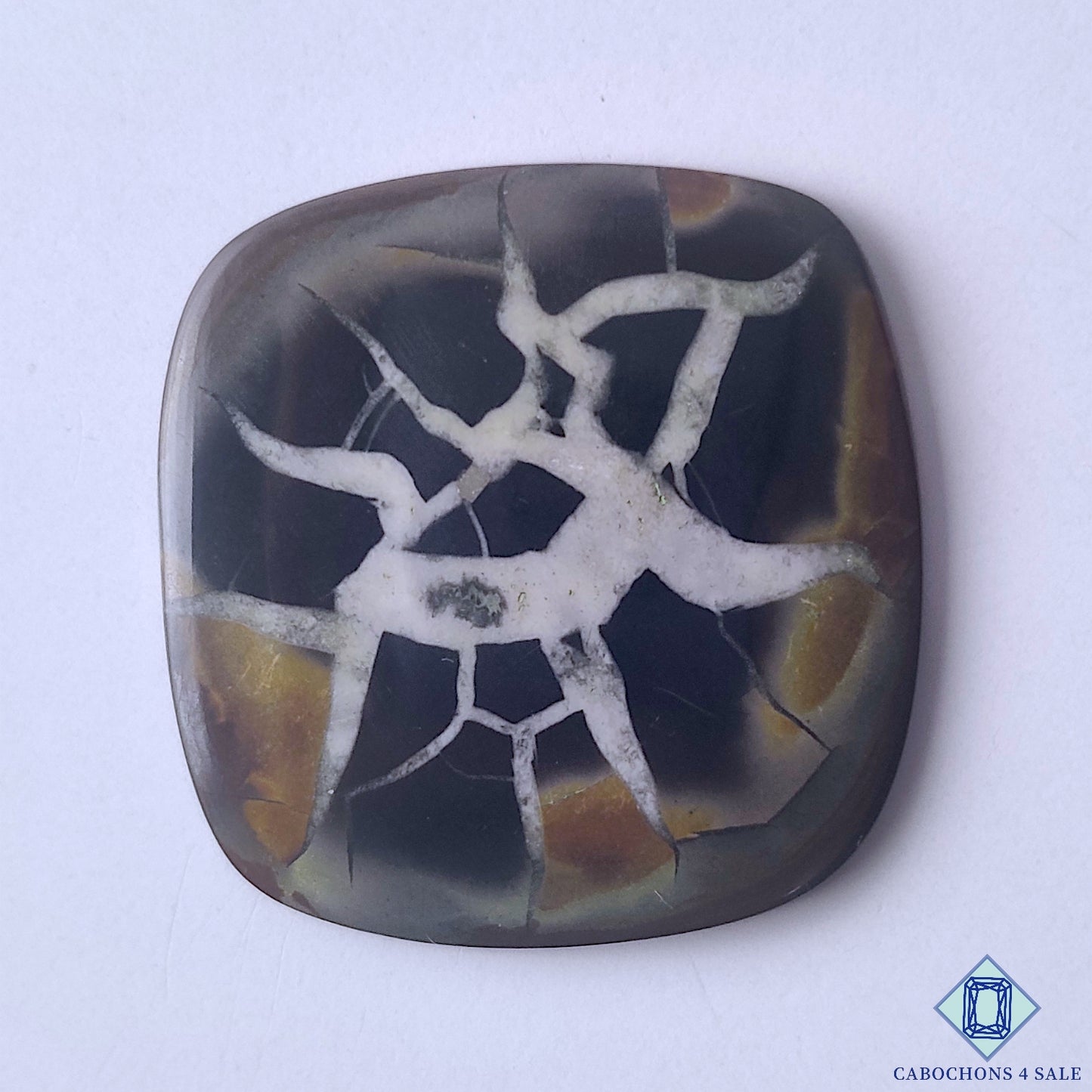 Septarian