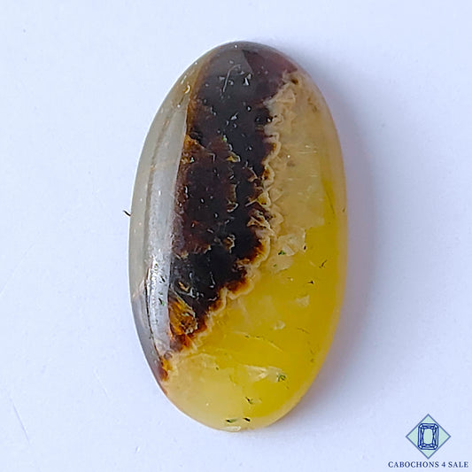 Septarian
