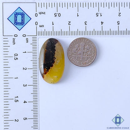 Septarian
