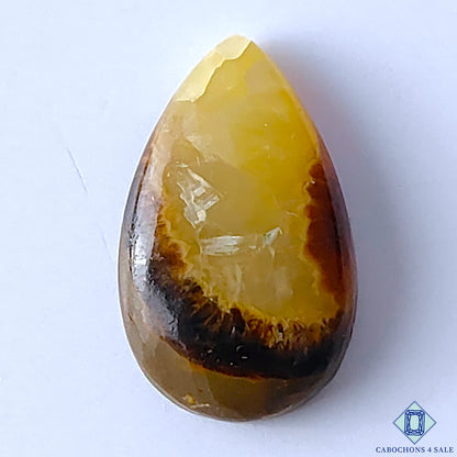 Septarian