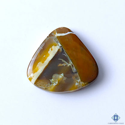 Septarian