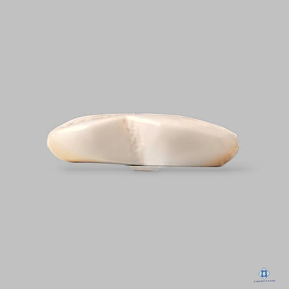 Natural Shiva Gemstone Heart Cabochons 12*12*3mm from India available for sale