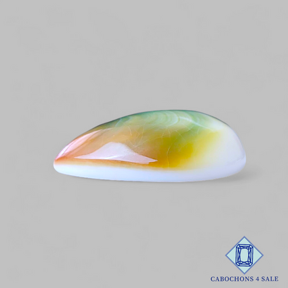 Shiva Eye Pear Cabochons 26*22*8mm