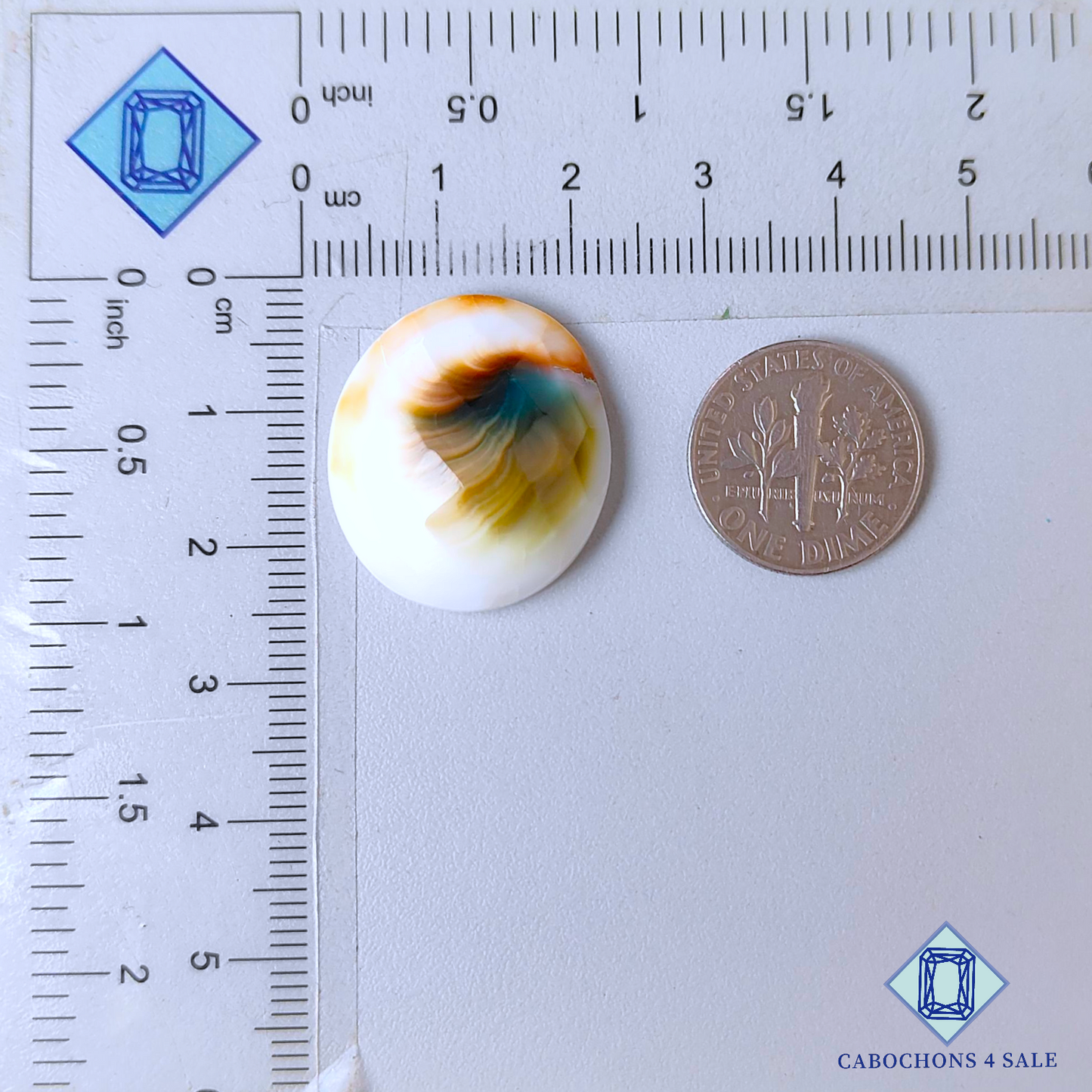 Shiva Eye Oval Checker Cut 23*20*6mm