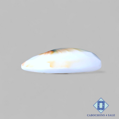 Shiva Eye Oval Checker Cut 23*20*6mm