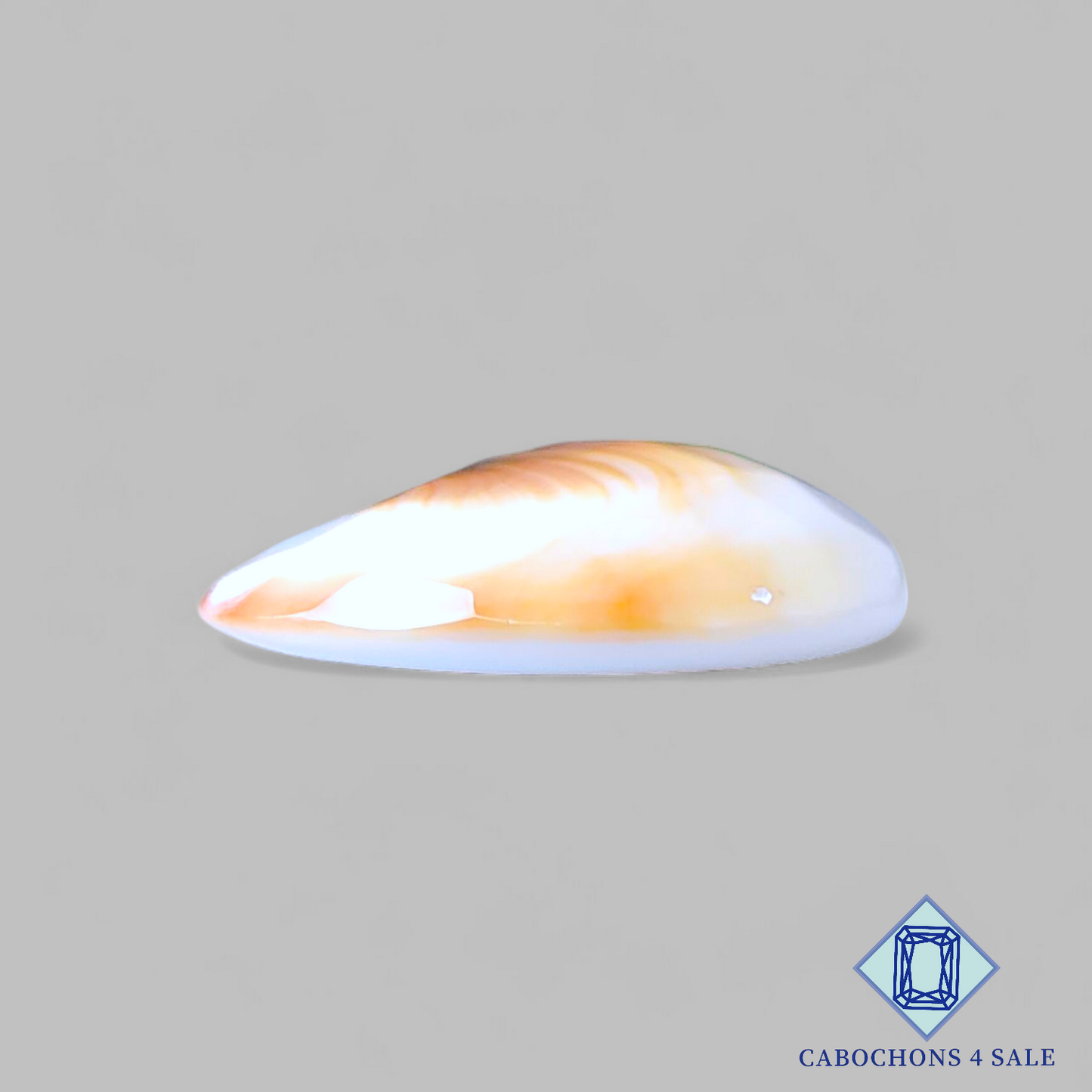 Shiva Eye Oval Checker Cut 23*19*6mm