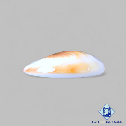 Shiva Eye Oval Checker Cut 23*19*6mm