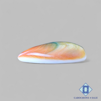 Shiva Eye Pear Cabochons 21*18*6mm