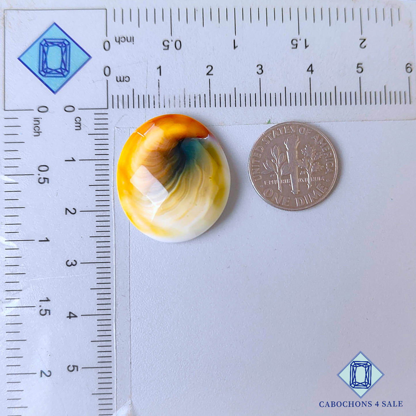 Shiva Eye Oval Checker Cut 25*22*6mm