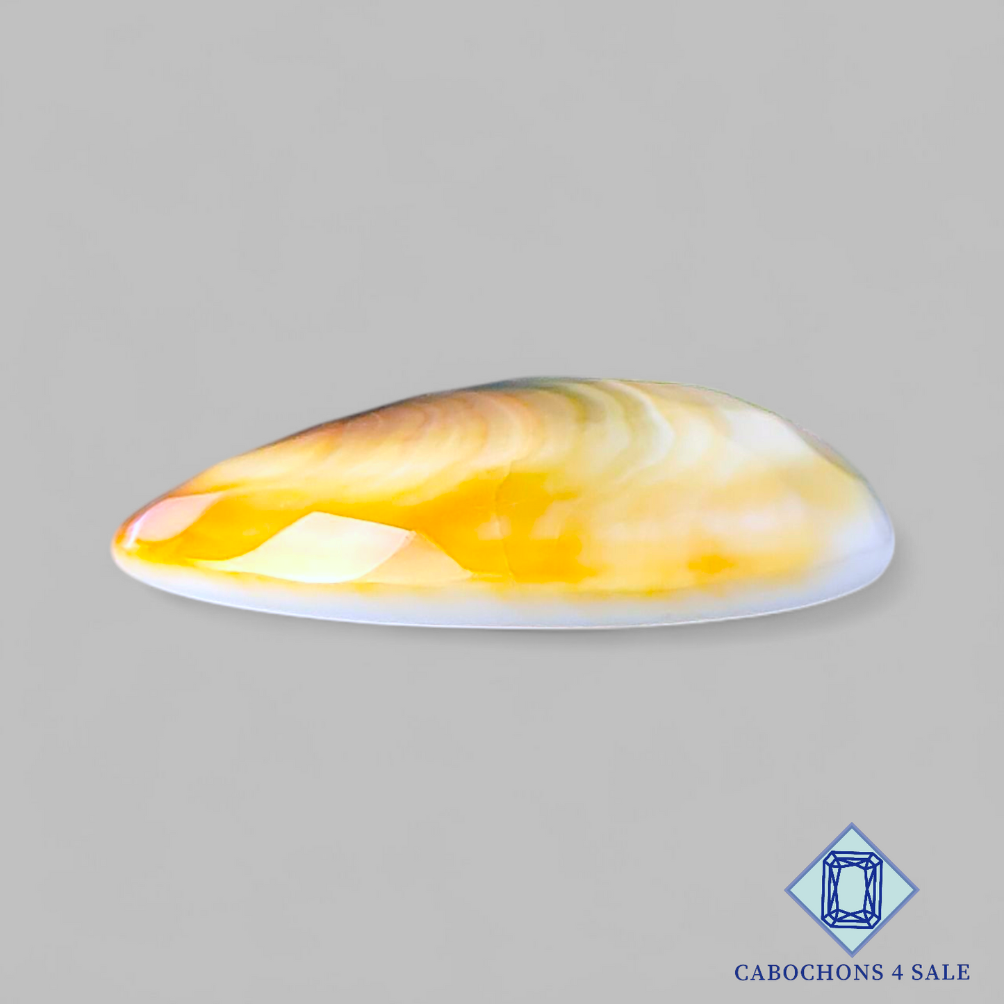 Shiva Eye Oval Checker Cut 25*22*6mm