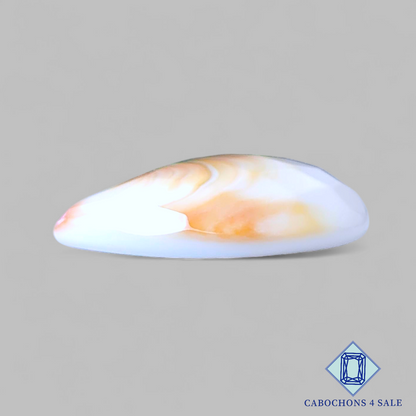 Shiva Eye Pear Checker Cut 24*20*7mm