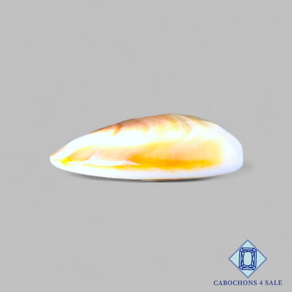 Ojo de Shiva con corte ovalado de 23 x 20 x 7 mm