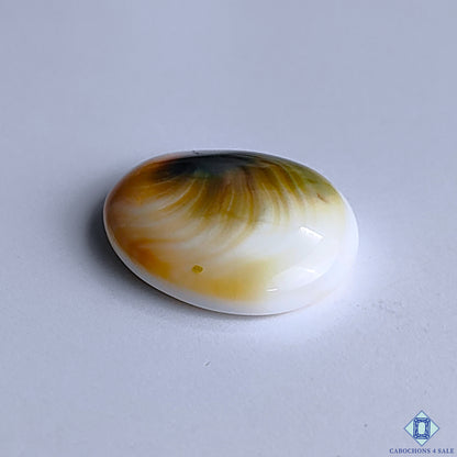 0-Shiva_Eye-C4sw16672-3-oval-White-mm-Cabochons-Opaque-0