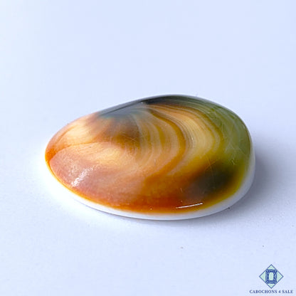 Shiva Eye