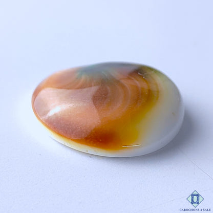 Shiva Eye