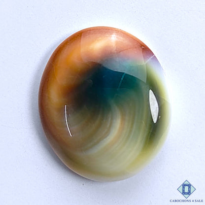 Shiva Eye