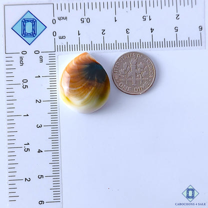 Shiva Eye