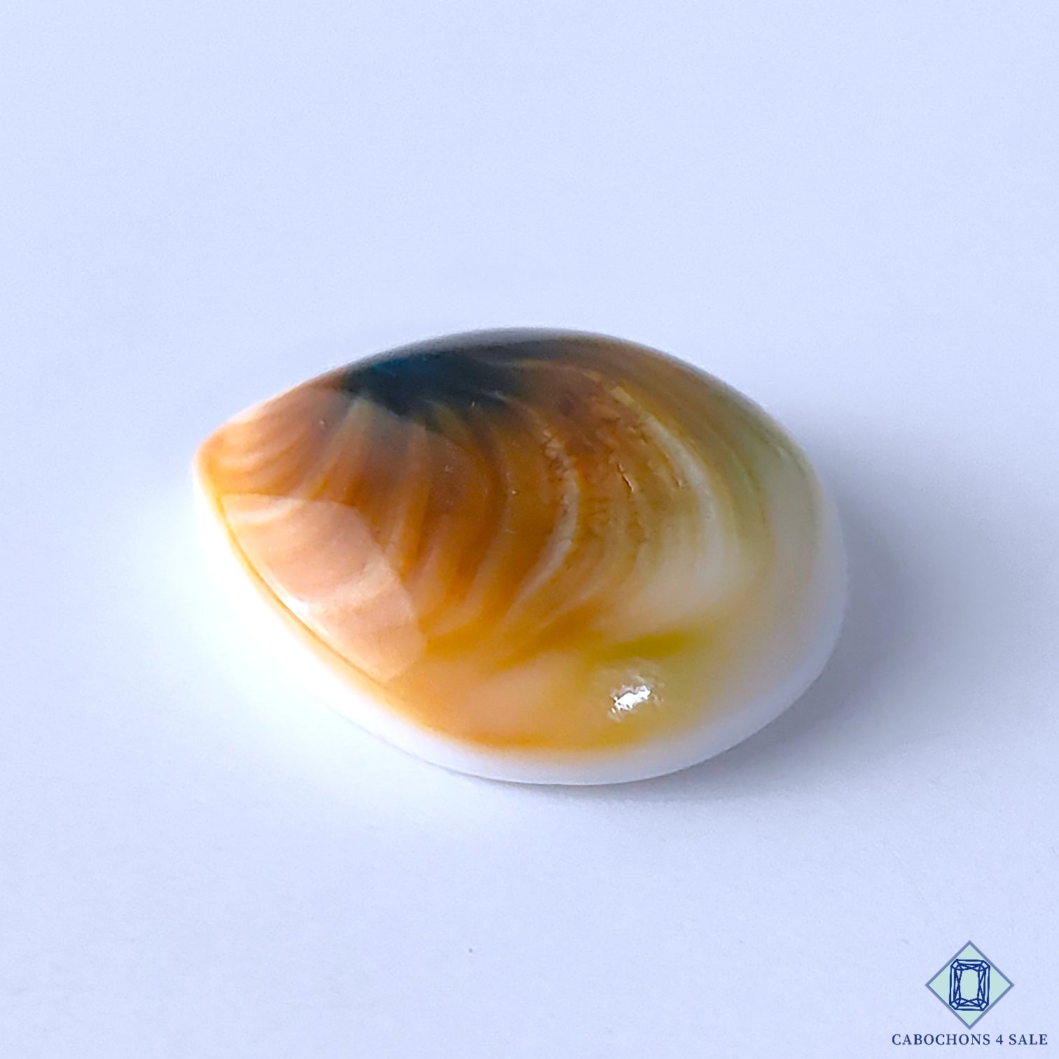 Shiva Eye