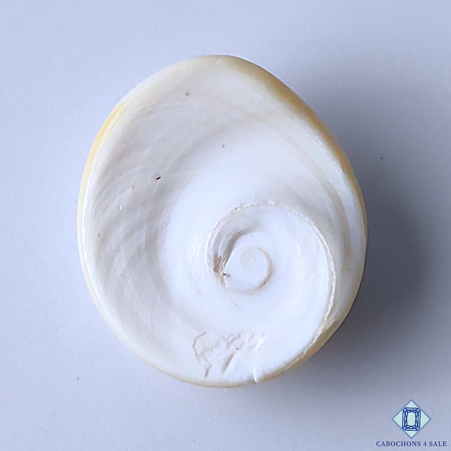 Shiva Eye