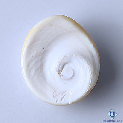 Shiva Eye