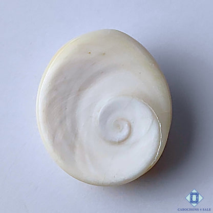 Shiva Eye