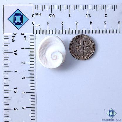 Shiva Eye