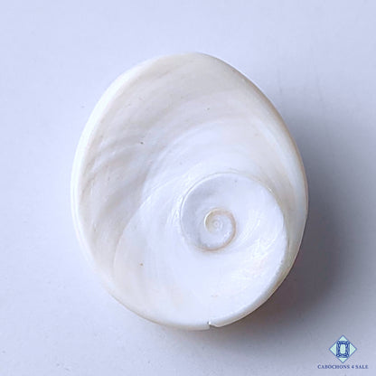 Shiva Eye