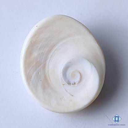 Shiva Eye