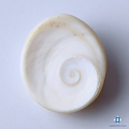 Shiva Eye