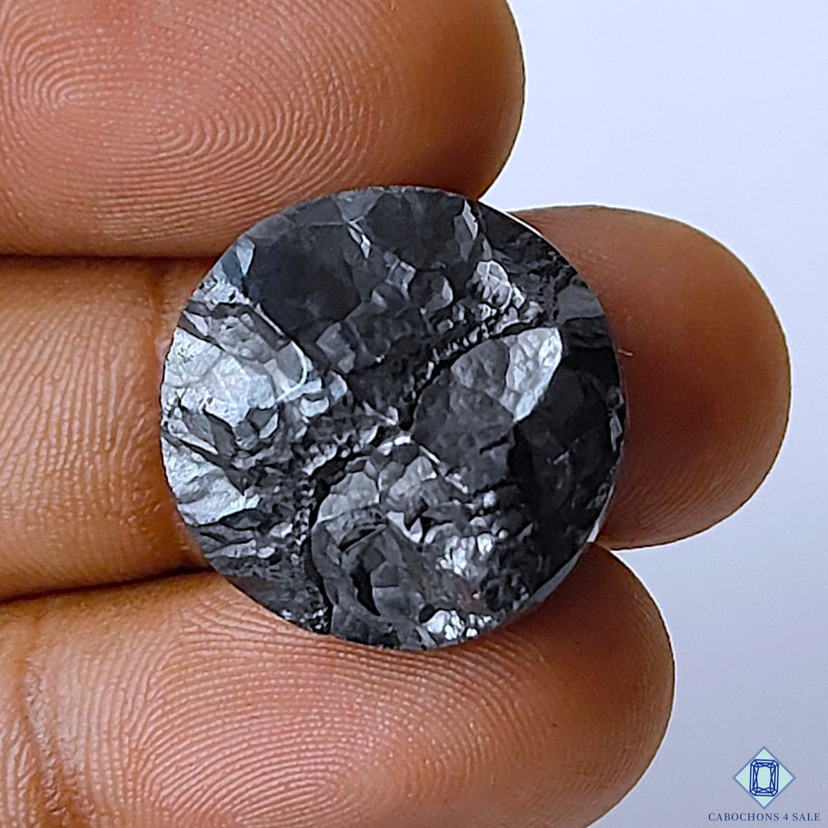 Shungite